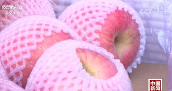 記者探秘 水果價格為何比肉貴？果市‘漲聲一片’背后真相解密