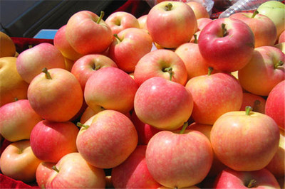 果多美加盟是否靠譜？剖析新鮮水果零售的機遇與挑戰(zhàn)